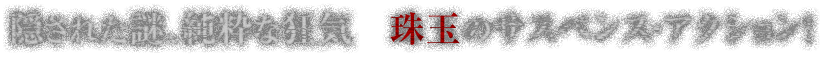 隠された謎、純粋な狂気　珠玉のサスペンス・アクション！